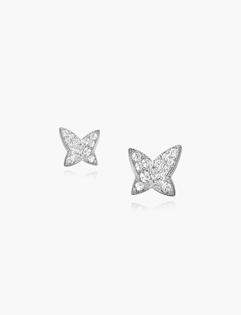 Dancing Butterflies